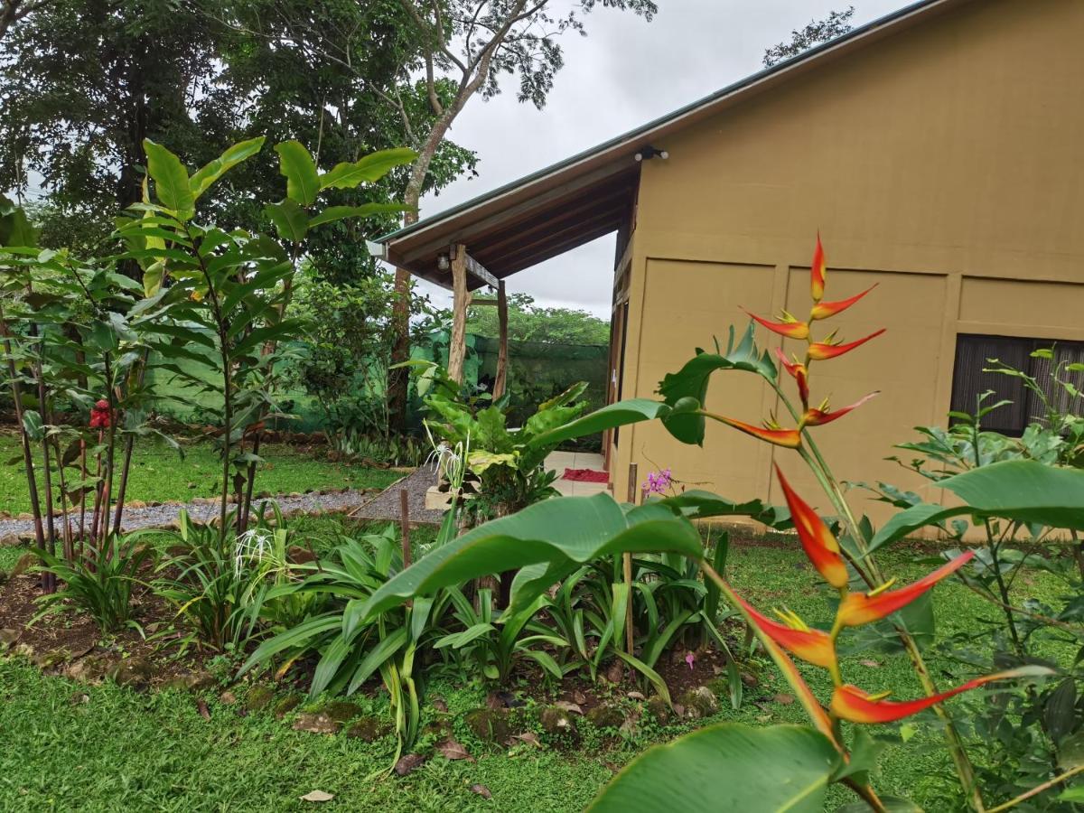 Greenhouse Loft Miravalles Aguas Claras  Exterior photo