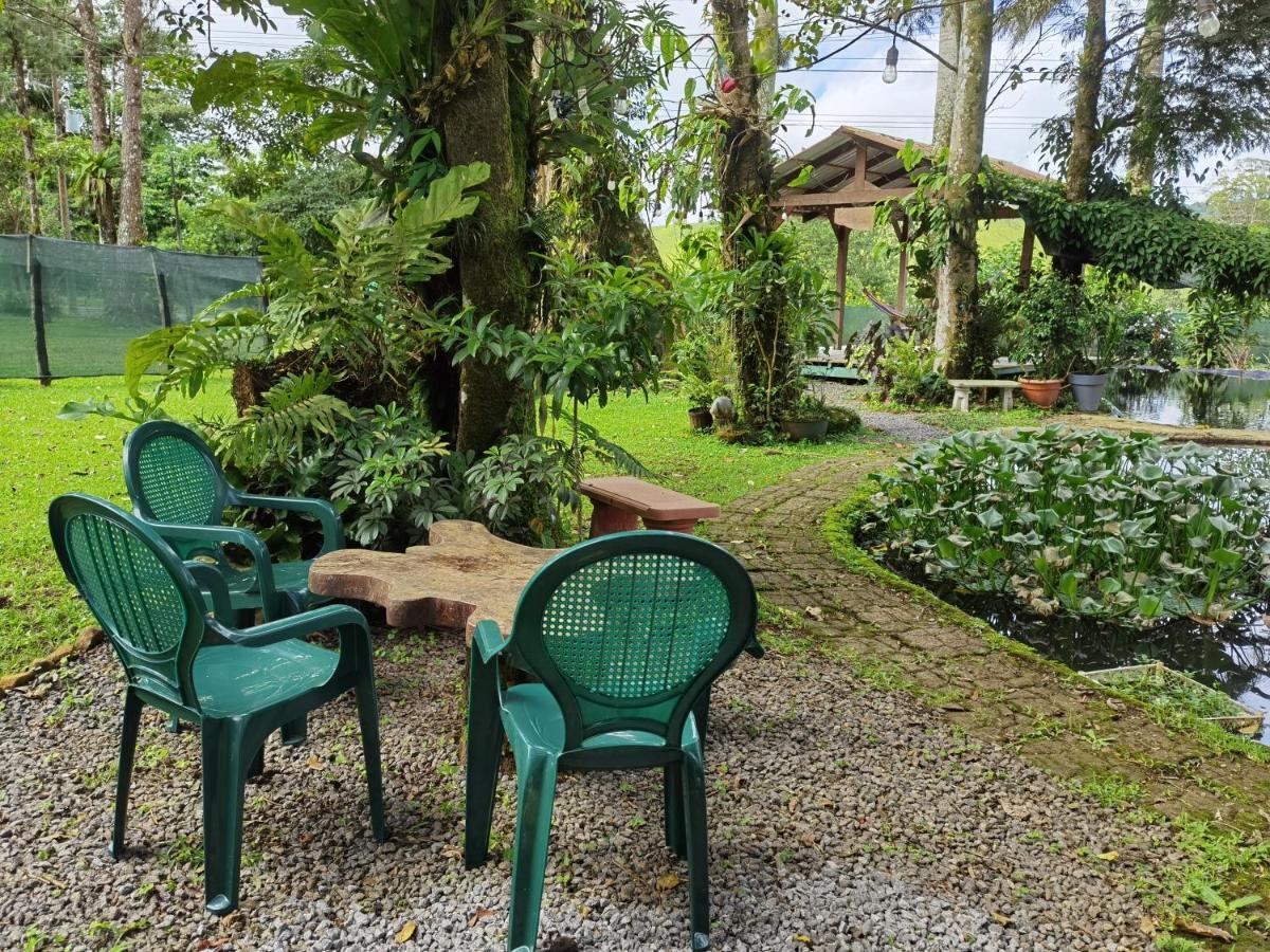 Greenhouse Loft Miravalles Aguas Claras  Exterior photo