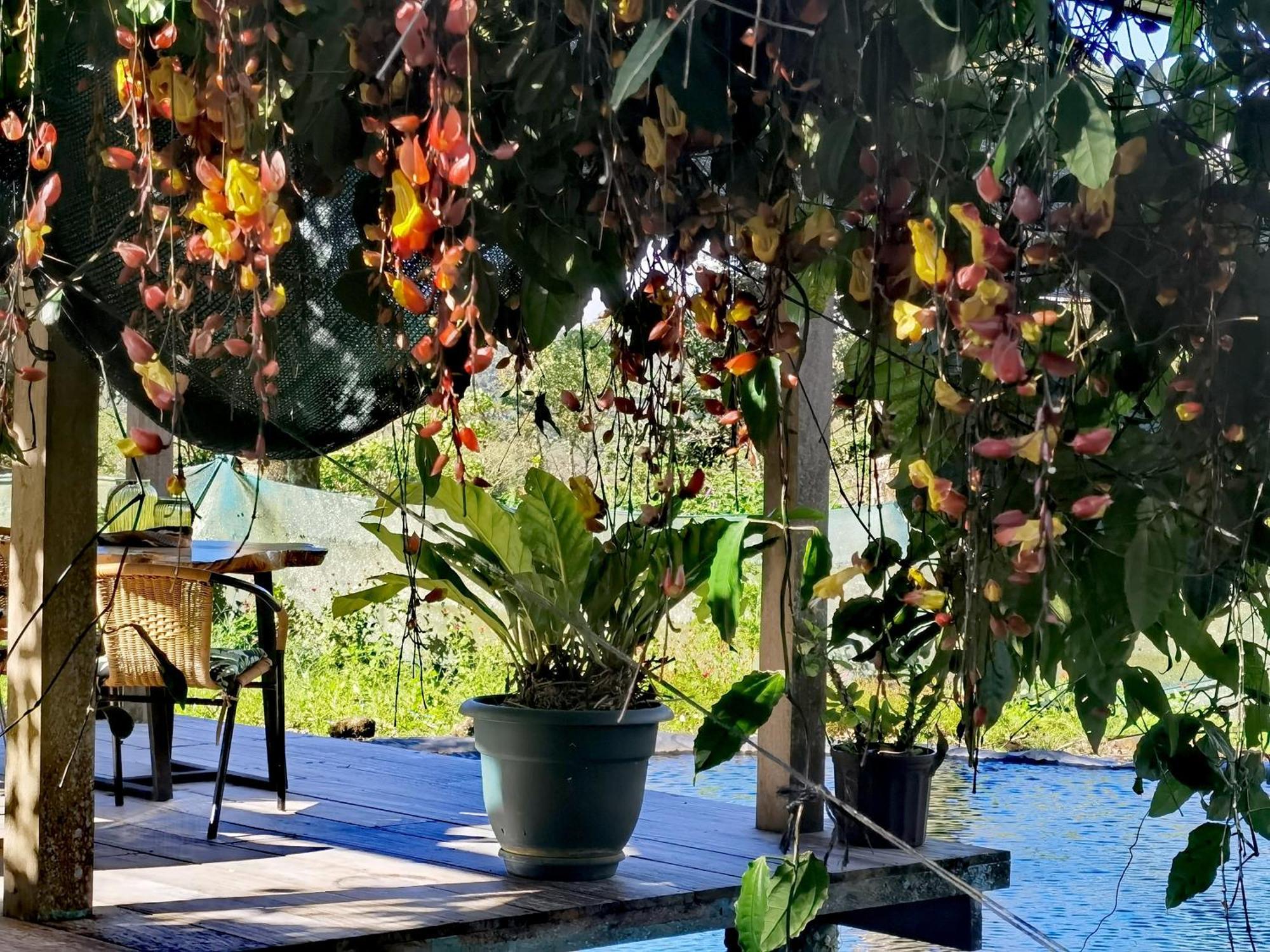 Greenhouse Loft Miravalles Aguas Claras  Exterior photo